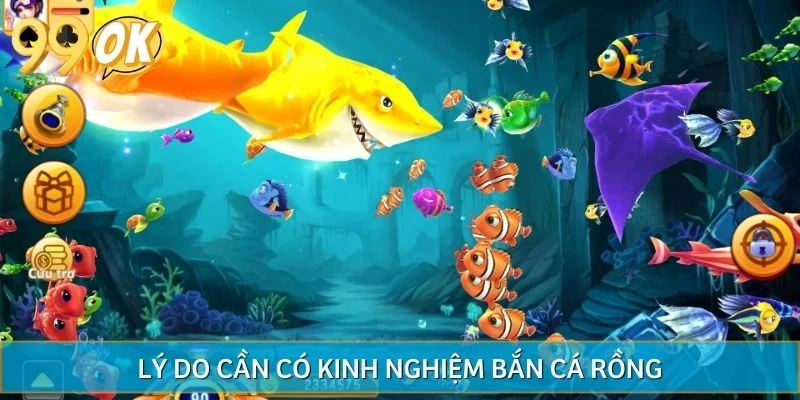 Lý do người chơi cần có kinh nghiệm bắn cá rồng