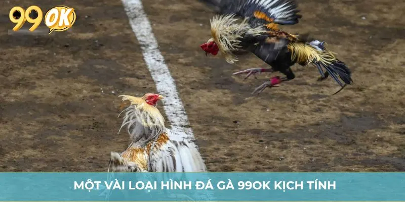 Một vài loại hình đá gà 99OK kịch tính