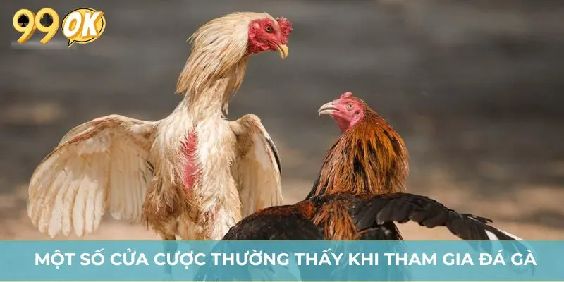 Một số cửa cược thường thấy khi tham gia đá gà