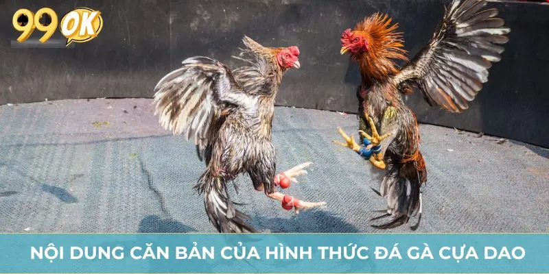 Nội dung căn bản của hình thức đá gà cựa dao