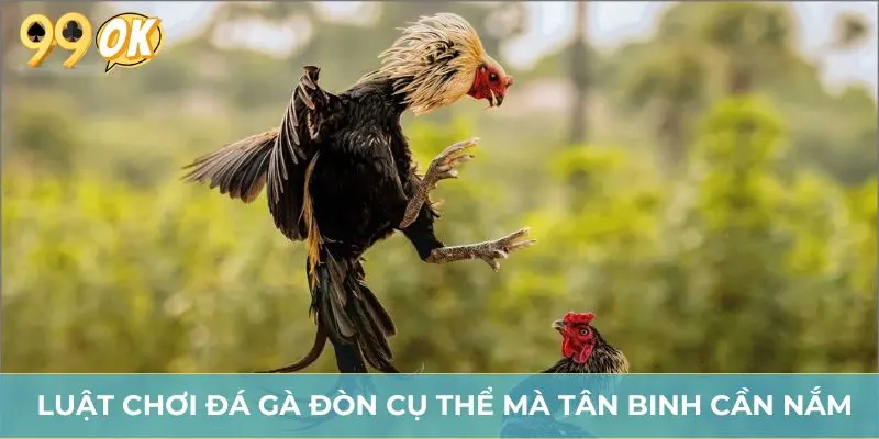 Luật chơi đá gà đòn cụ thể mà tân binh cần nắm