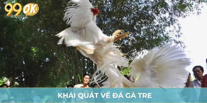 Khái quát về đá gà tre