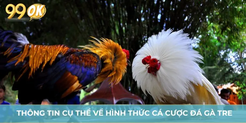 Thông tin cơ bản về đá gà tre